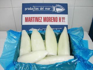 Tubo de calamar