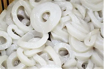 Anillas de Potón Elaboradas